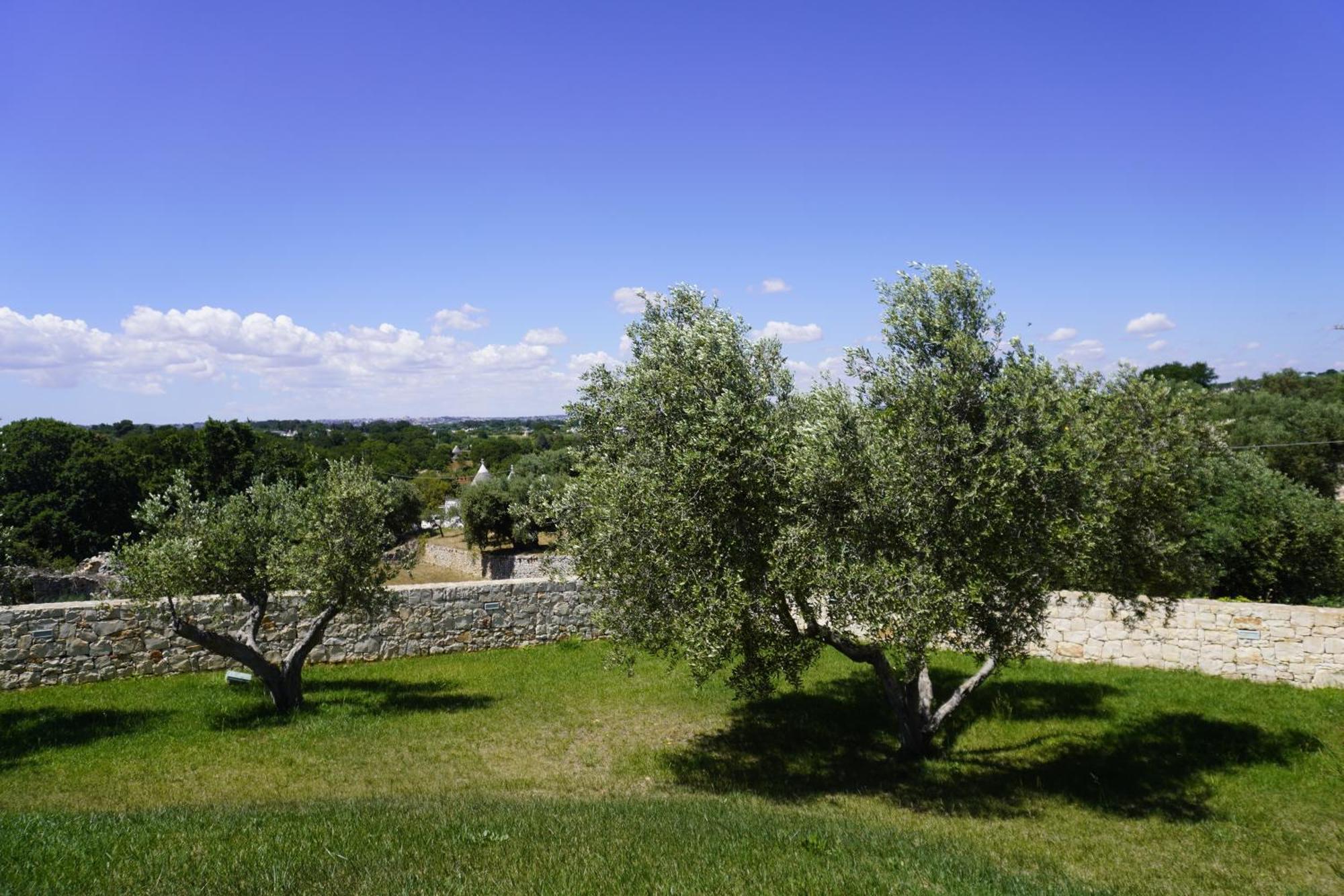 Trullo Amico Villa Cisternino Buitenkant foto