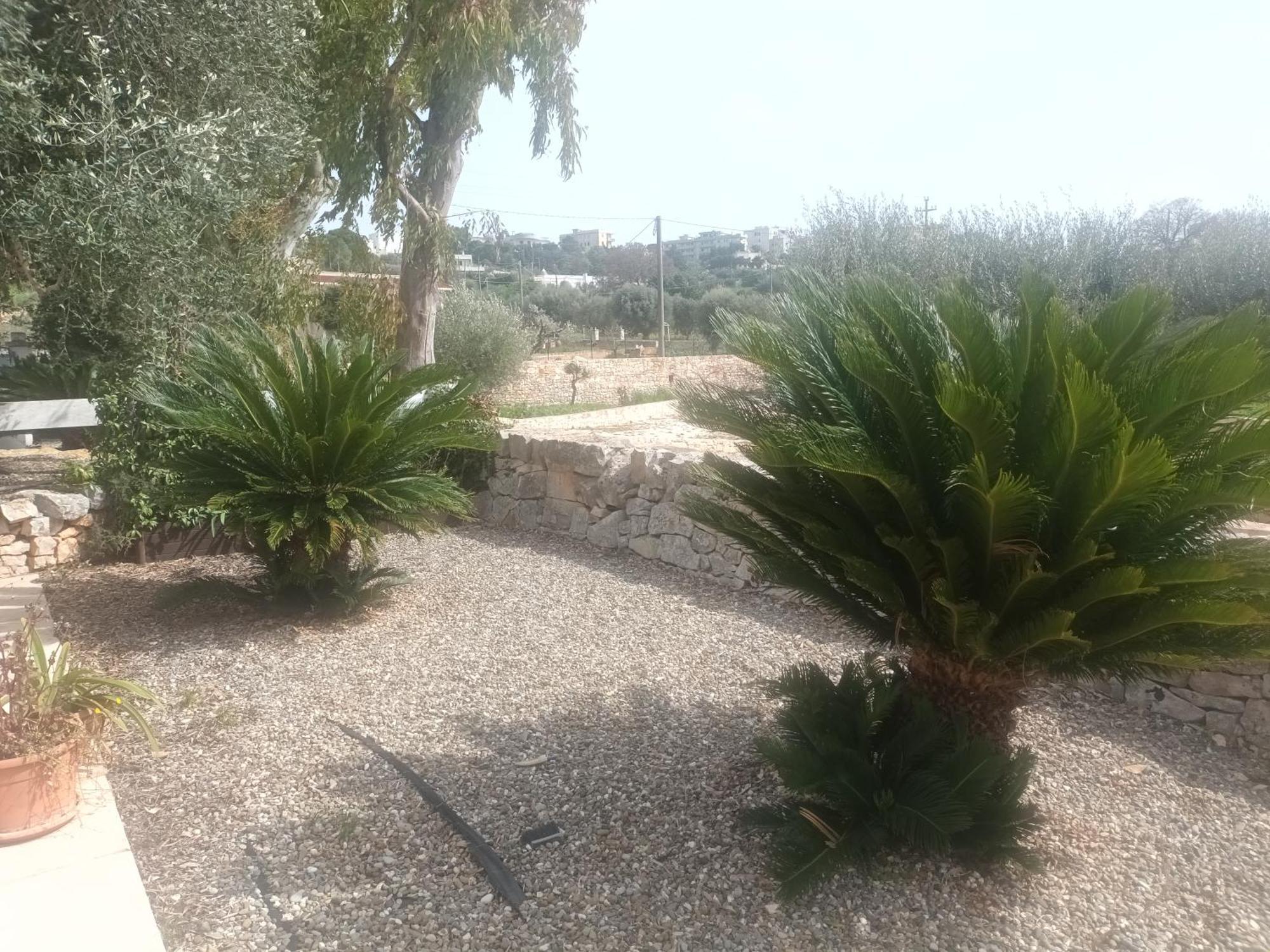 Trullo Amico Villa Cisternino Buitenkant foto